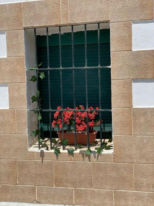 El Rincon Del Rey Apartment Torrejon del Rey Exterior photo